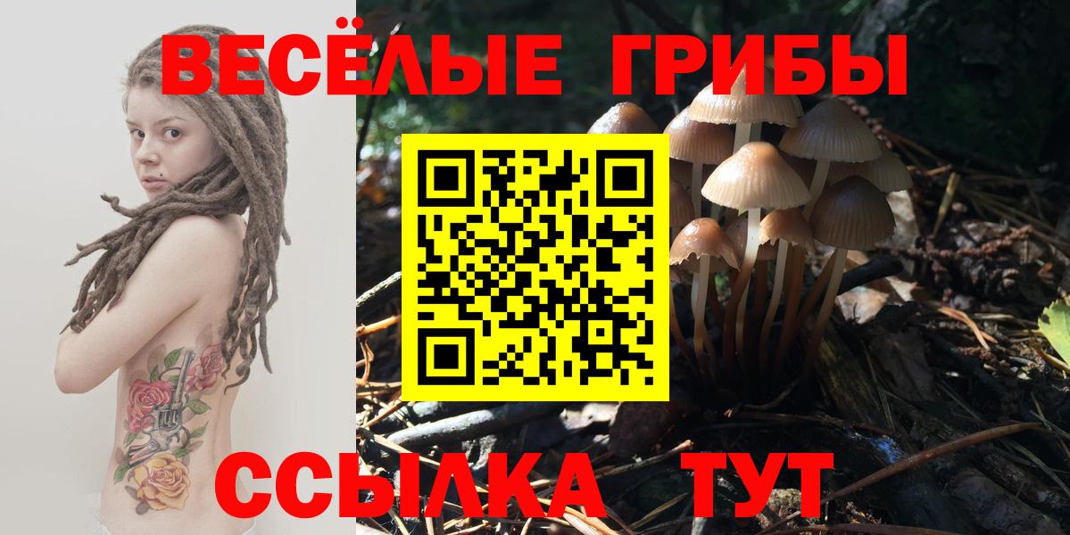 Луга  Галлюциногенные грибы прущие грибы  хочу   Вход с VPN  Галлюциногенные грибы мухоморы 